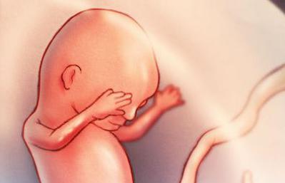 Четырнадцатая неделя беременности, определение пола ребенка Можно ли в 14 недель